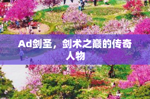 剑术之巅的传奇人物图片