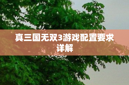 真三国无双3游戏配置要求详解图片