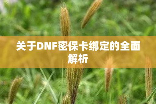 关于DNF密保卡绑定的全面解析图片