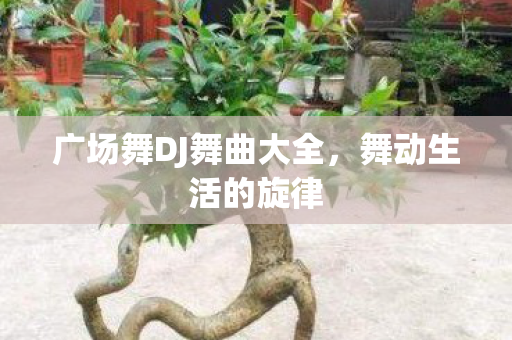 广场舞DJ舞曲大全图片