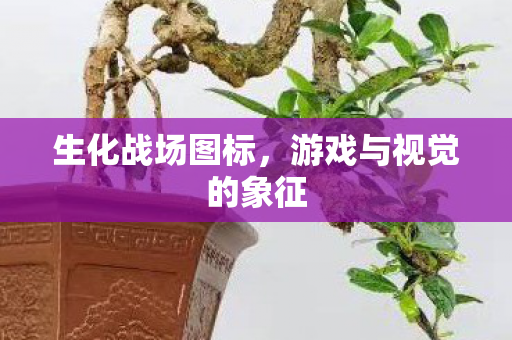 游戏与视觉的象征图片