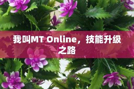 我叫MT Online图片