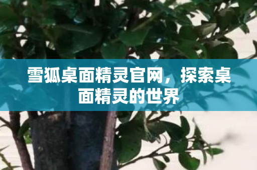 探索桌面精灵的世界图片