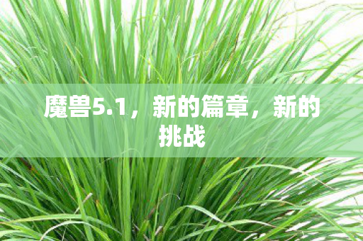 新的篇章图片