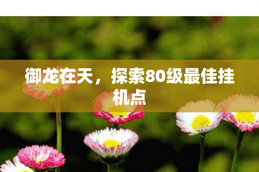探索80级最佳挂机点图片