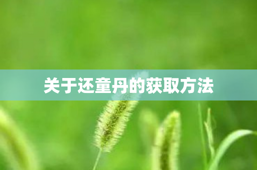 关于还童丹的获取方法图片