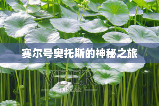 赛尔号奥托斯的神秘之旅图片