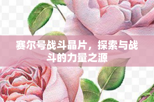 探索与战斗的力量之源图片