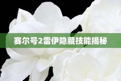 赛尔号2雷伊隐藏技能揭秘图片