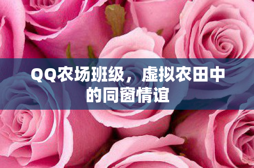 虚拟农田中的同窗情谊图片