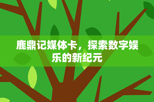 探索数字娱乐的新纪元图片
