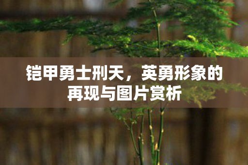 英勇形象的再现与图片赏析图片