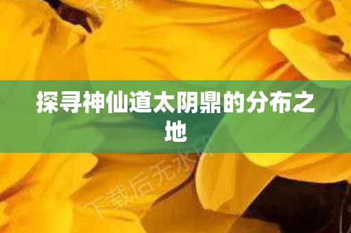 探寻神仙道太阴鼎的分布之地图片