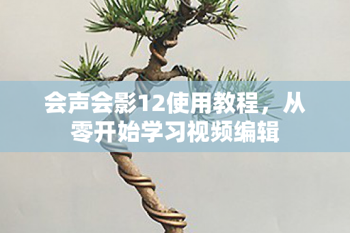会声会影12使用教程图片
