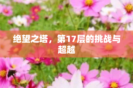 第17层的挑战与超越图片