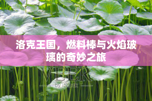 燃料棒与火焰玻璃的奇妙之旅图片