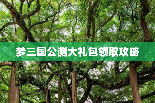 梦三国公测大礼包领取攻略图片