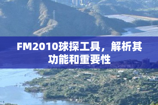 FM2010球探工具图片