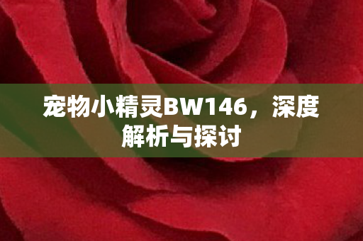 宠物小精灵BW146图片