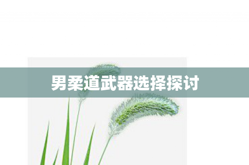 男柔道武器选择探讨图片