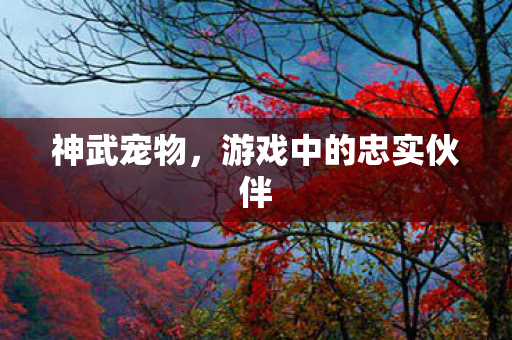 游戏中的忠实伙伴图片