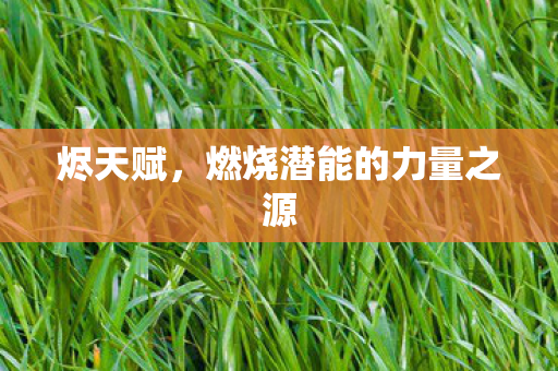 燃烧潜能的力量之源图片