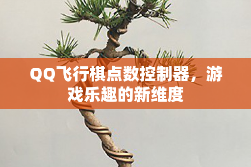 QQ飞行棋点数控制器图片