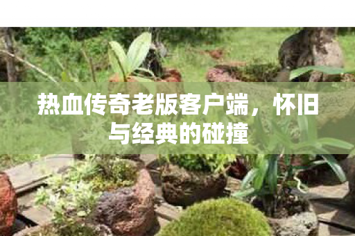 热血传奇老版客户端图片