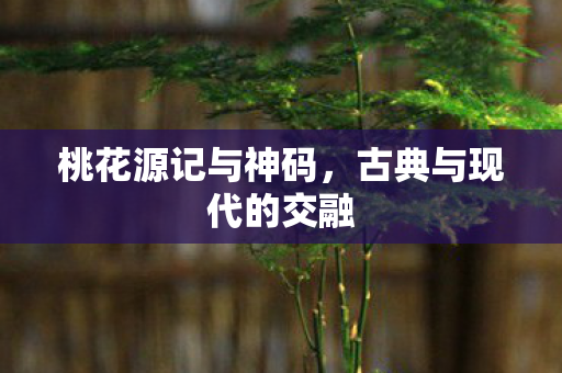 古典与现代的交融图片
