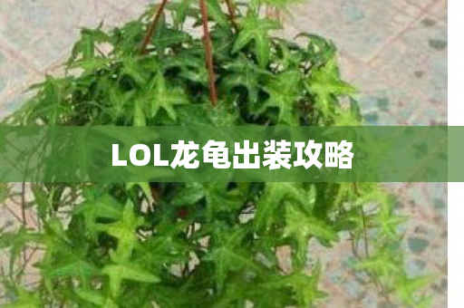 LOL龙龟出装攻略图片