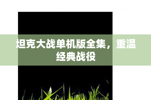 坦克大战单机版全集图片