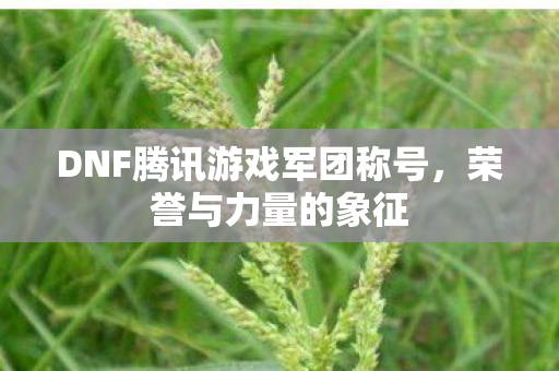 DNF腾讯游戏军团称号图片