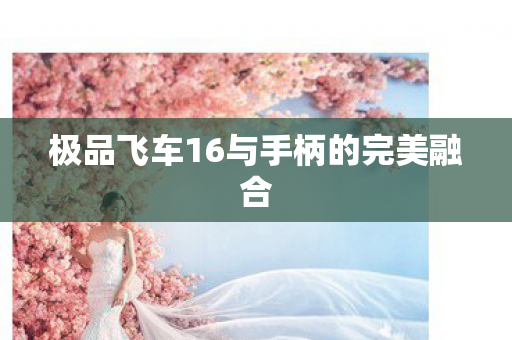 极品飞车16与手柄的完美融合图片