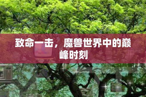 魔兽世界中的巅峰时刻图片
