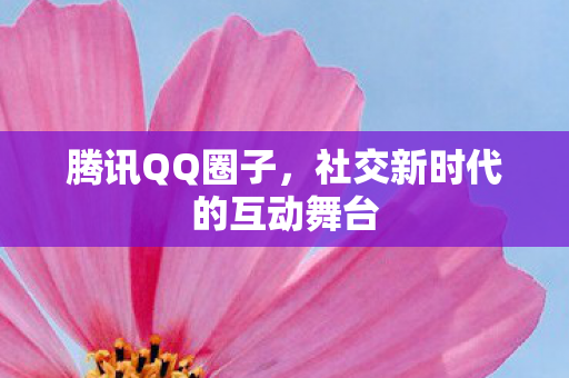 社交新时代的互动舞台图片