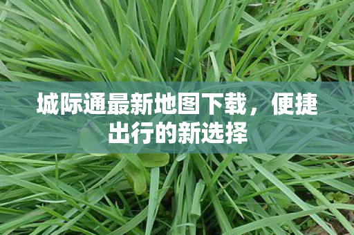 城际通最新地图下载图片