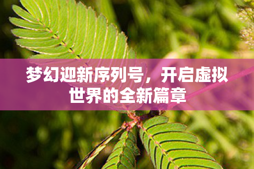 开启虚拟世界的全新篇章图片