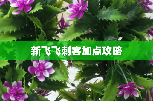 新飞飞刺客加点攻略图片