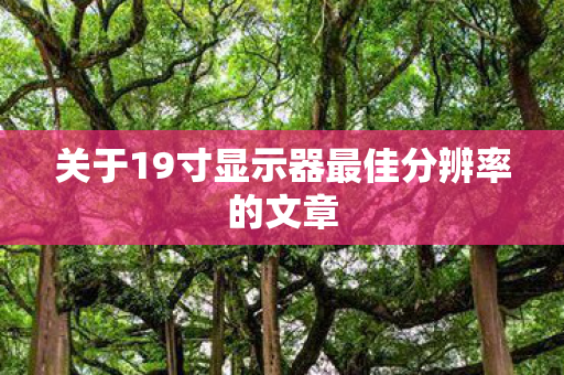 关于19寸显示器最佳分辨率的文章图片
