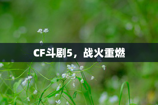 CF斗剧5图片
