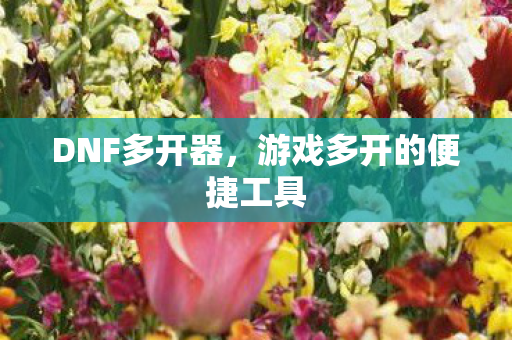 游戏多开的便捷工具图片
