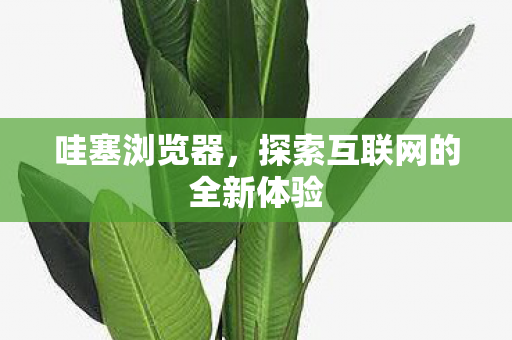 探索互联网的全新体验图片