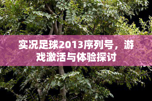 实况足球2013序列号图片
