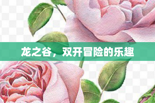 双开冒险的乐趣图片