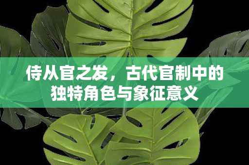 古代官制中的独特角色与象征意义图片