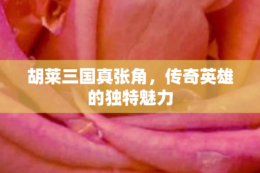 传奇英雄的独特魅力图片