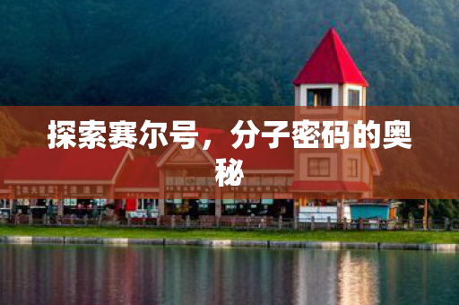 分子密码的奥秘图片