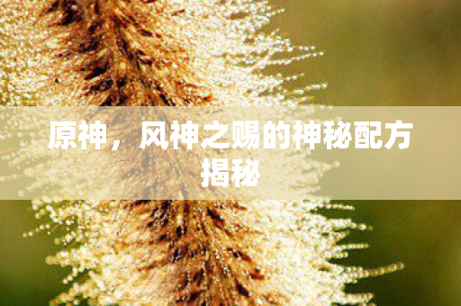 风神之赐的神秘配方揭秘图片