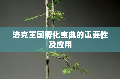 洛克王国孵化宝典的重要性及应用图片