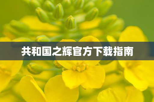共和国之辉官方下载指南图片